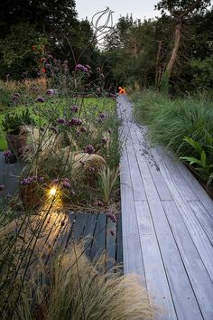 a wooden walkway surrounded by tall grass and flowers