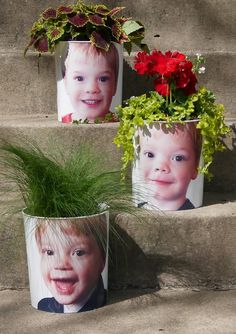 three potted plants with pictures of children in them on concrete steps next to flowers