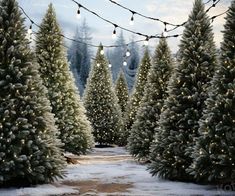 christmas trees are lined up with lights on them