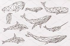 several different types of origami whale drawings on white paper, each with an individual's own line drawing