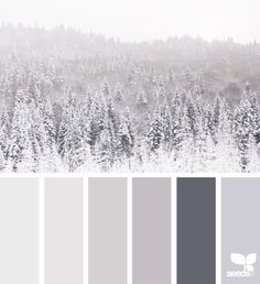 the color scheme is gray and white, with trees in the background that are snow - covered