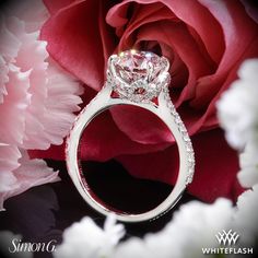 a diamond ring sitting on top of a pink flower next to a white and red rose