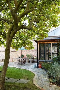 a small house sitting under a tree next to a lush green field with lots of plants