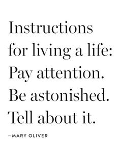 a quote that says instructions for living a life pay attention be astoushed tell about it