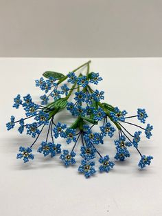 small blue flowers on a white surface