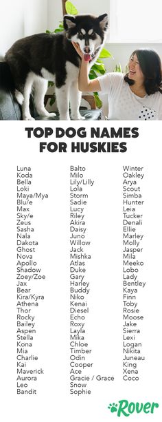 the top dog names for huskies are shown in this poster, which features an image of a woman petting a black and white cat