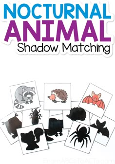 an animal shadow matching game for kids