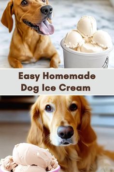 a dog sitting next to an ice cream bowl with the caption easy homemade dog ice cream