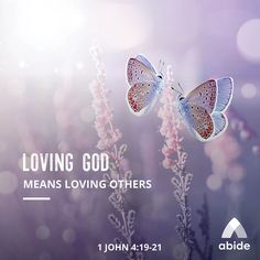 two butterflies sitting on top of pink flowers with the words loving god means loving others