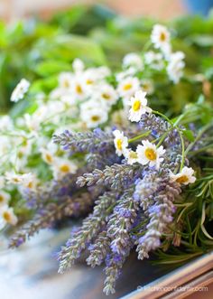 some white and purple flowers are on a table