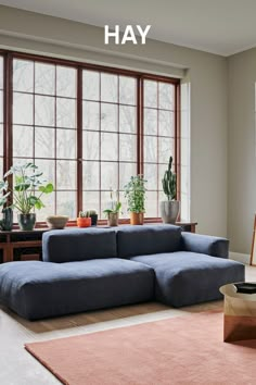 a living room filled with furniture and plants next to large windows that have the words hay written on them