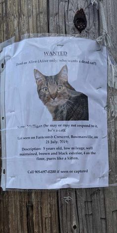 a sign posted on the side of a wooden fence with a cat's face