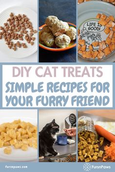 Homemade Cat Treats Recipes Diy Cat Calming Treats, Catnip Treats For Cats, Cat Friendly Treats, Healthy Snacks For Cats, Long Lasting Cat Treats Homemade, Frozen Cat Treats Homemade, Grain Free Cat Treats, Diy Cat Treats Easy