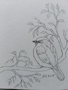 a drawing of a bird sitting on a tree branch