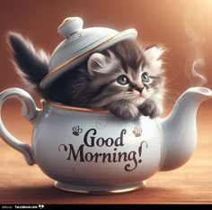 Good Morning Cats, Cute Morning Quotes, Good Morning Rose Images, Funny Good Morning Messages, Super Cute Kittens, Good Morning Hug, Good Morning Smiley