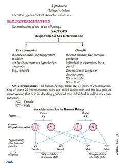 Heredity And Evolution Notes Class 10, Heredity Notes Class 10, Heredity And Evolution Notes, Heredity Notes, Evolution Notes, Biology Class 12