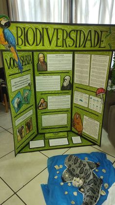 a poster board with pictures of animals and plants on it's sides, in front of a tiled floor