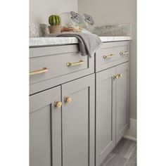 a kitchen with gray cabinets and gold handles