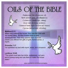 an old bible poster with the words oils of the bible and doves flying above it