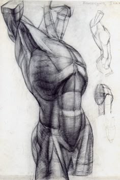 a drawing of a man's torso and arm