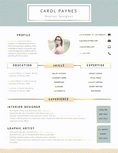 a professional resume template for an interior designer