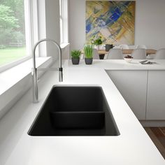 a kitchen sink sitting under a window next to a counter top with a potted plant