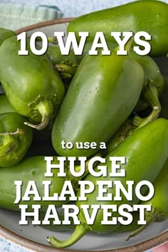 green peppers in a bowl with the words 10 ways to use a huge jalapeno harvest harvest