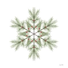 a snowflake is shown with red berries on the top and green needles in the middle