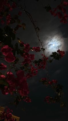 the full moon is shining brightly in the night sky above some pink flowers on a tree branch