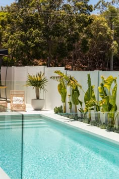 an empty pool surrounded by greenery and a white fence with trees in the background