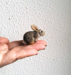 a tiny animal sitting on top of someone's hand in front of a white wall