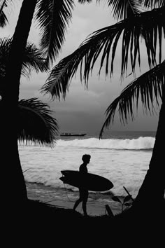 a man holding a surfboard walking next to the ocean with palm trees in front of him