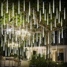 a large tree with lights hanging from it's branches in front of a house