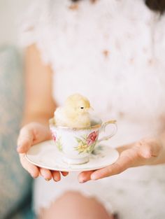 a woman holding a tea cup with a small bird on it's saucer