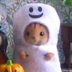 a stuffed animal is dressed up as a ghost