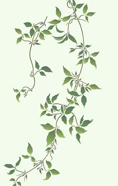 a branch with green leaves on it