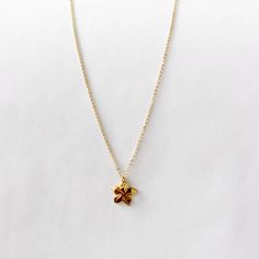 Star Plumeria Necklace – Leighton Lam Designs Hawaii Necklace, Bday Gift Ideas, Sweet Fragrance, Iconic Symbols, Bday Gift, Sweet Fragrances, Outfit Inspo Fall, The Chain, Spice Things Up