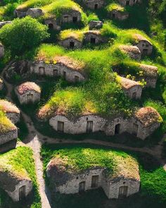 an aerial view of some houses with grass growing on them