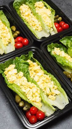 four plastic trays filled with lettuce and tomatoes