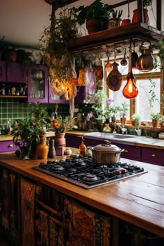 a kitchen with potted plants hanging from the ceiling and an electric stove top oven