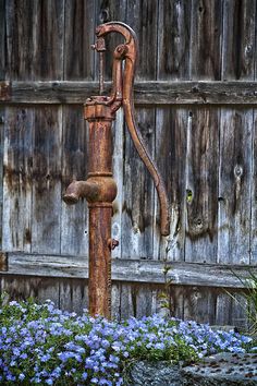 an old rusted water faucet with blue flowers in front of a wooden fence