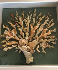 an arrangement of sea shells in a white frame