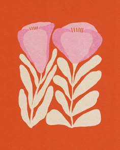 two pink flowers on an orange background