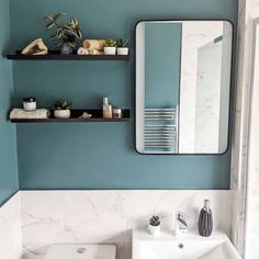 a white sink sitting under a bathroom mirror next to a shelf filled with potted plants