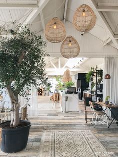 an indoor area with potted plants and hanging lights over the dining room table,