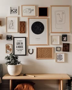 a wall with many framed pictures on it and a plant in a pot next to the table