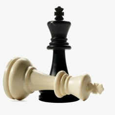 a black and white chess piece next to each other on top of a white background