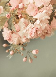 some pink flowers are in a vase on a table