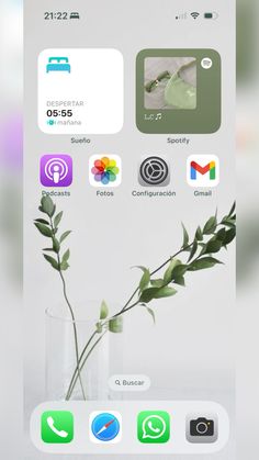 an iphone screen showing the home screen with icons and flowers in vases on it