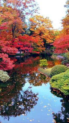 a pond surrounded by colorful trees in the middle of a park with lots of leaves on it